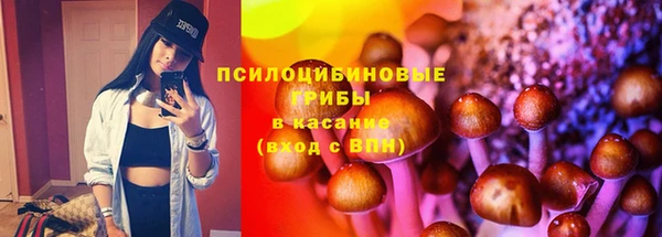 ECSTASY Богданович