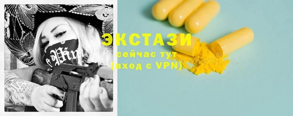 ECSTASY Богданович