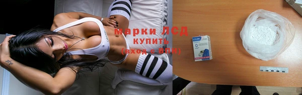 ECSTASY Богданович