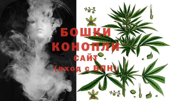 трава Богородицк