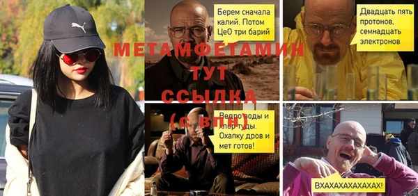 ECSTASY Богданович
