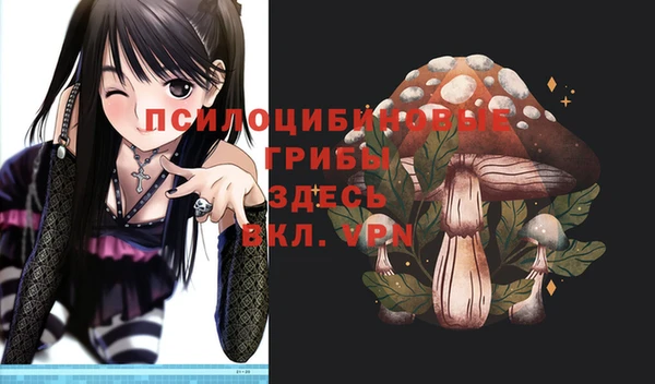 трава Богородицк