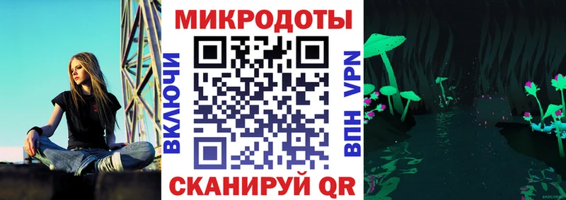 Псилоцибиновые грибы Psilocybe  что такое наркотик  Тбилисская 